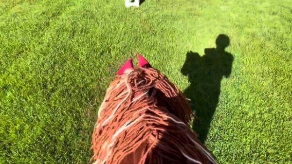 Тренировка с Хорсом 🌿                               Часть 2