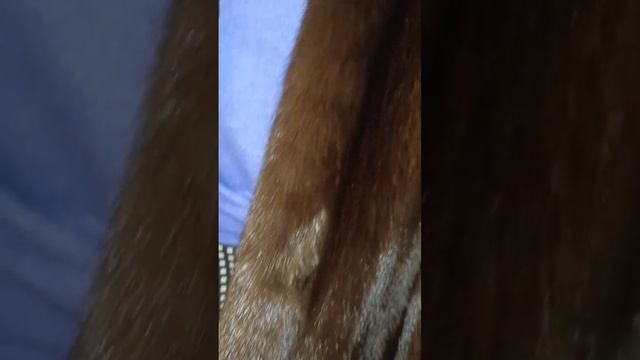 @ смотреть онлайн