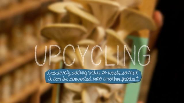 What Is Sustainability?