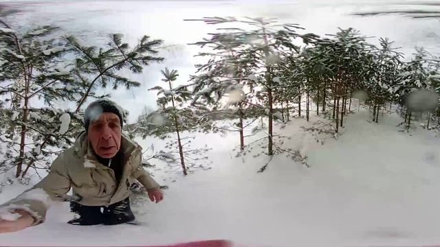 В сосновом лесу смотреть онлайн