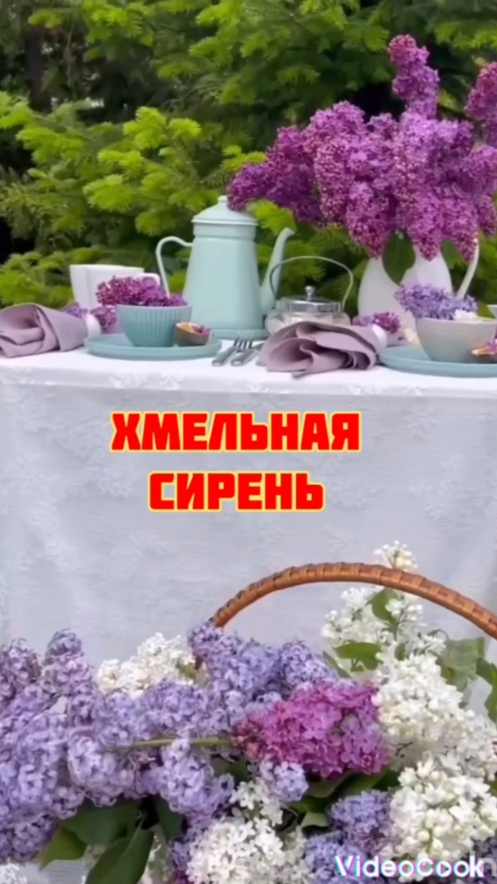Хмельная сирень. Ю. Антонов