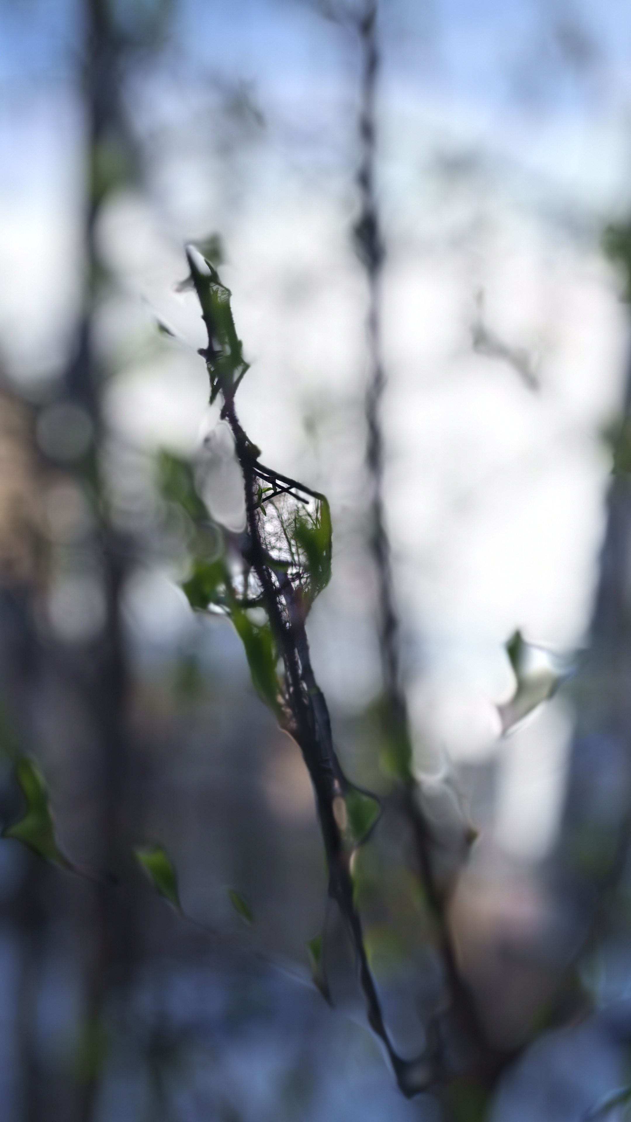 Сюрпризы апреля 2025 смотреть онлайн