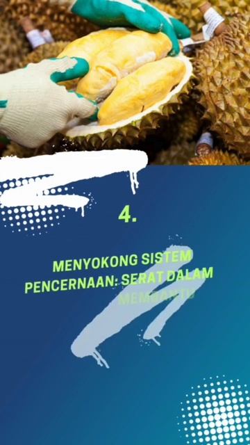 Fakta Menarik Seputar Durian #durian #durianindonesia #durianmonthobg #durianlover