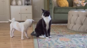 Домашние дела на выходных | Время развлечений | Уличная еда | Джазовый фестиваль