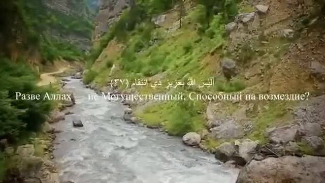 Коран - Сура 39 «Аз-Зумар». красивое чтение Корана - Чтец Саад аль-Гамиди смотреть онлайн