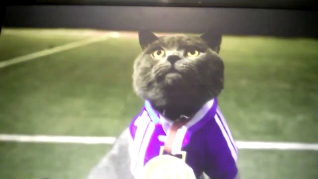 Кот Майкл и точка удачи и победы