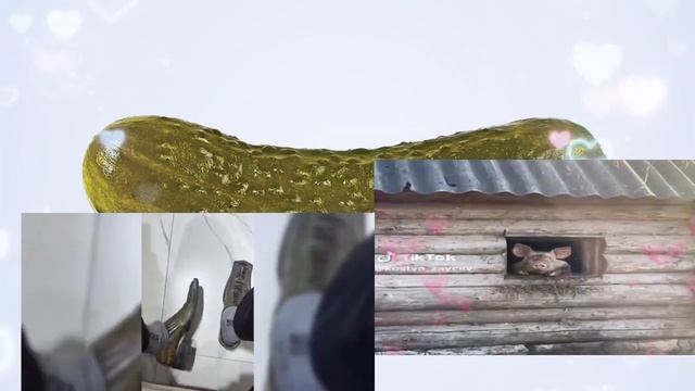 огурец стоит под крутую музыку смотреть онлайн