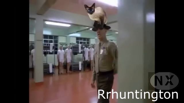 Ytp: Anaconda got Nicked смотреть онлайн