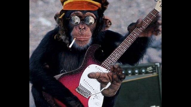 Funky Shuffle DRUMLESS Backing Track-NO DRUMS 126 BPM смотреть онлайн