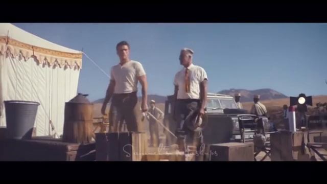 Wonder x Wildest Dreams x Cardigan [Shawn Mendes x Taylor Swift Mashup] | MV смотреть онлайн