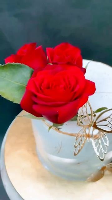 Black Forest Cake With Magic Fantasy Real Roses Flower 🌹