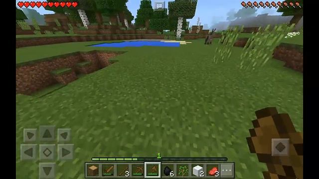 TAMING A TIGER !!! Episode 1 | Minecraft PE Addon Survival