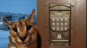 Твой домофон это:   ШЛЁПА!