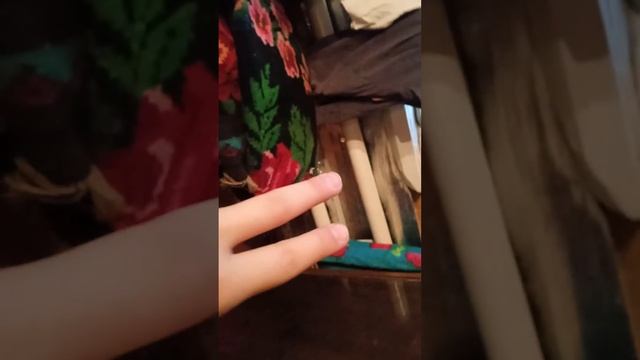 посылка для Мии(4)