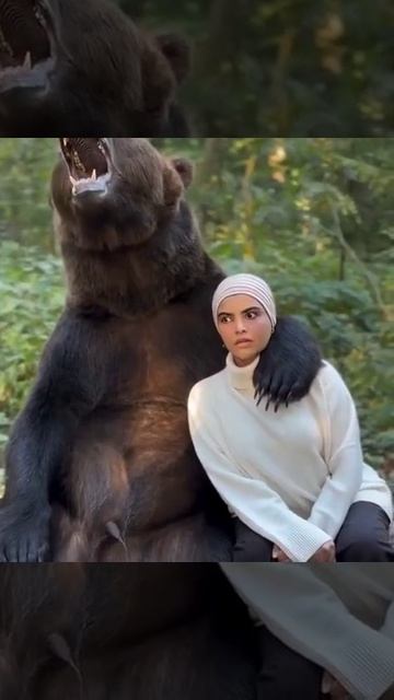 Когда с медведем вы родственники.mp4