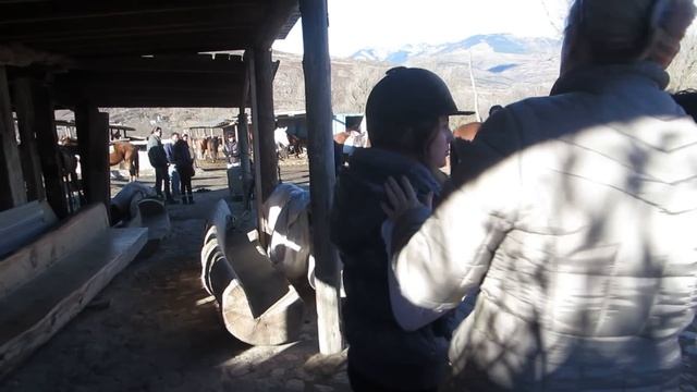 КАНИКУЛЫ день 3 ❊ ОСЕДЛАЛА КОНЯ