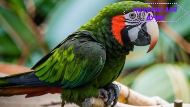 🔥 Свекровь тыкала меня носом в грязную посуду и упрекала, что я объедаю её сына...