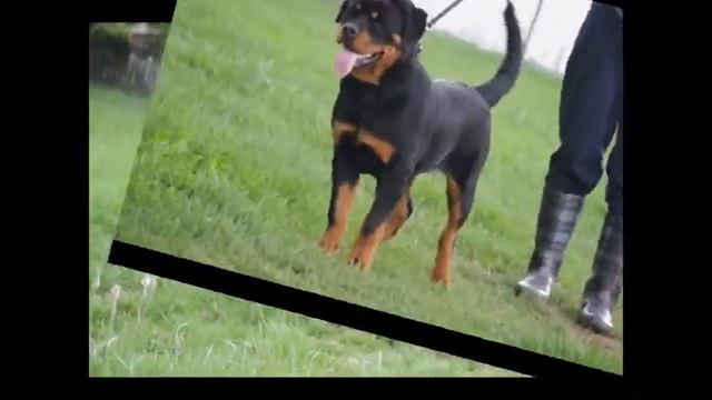 Lily Of Sanny Hill 6 months смотреть онлайн