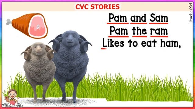 PAM AND SAM (CVC STORIES) @teacherzel смотреть онлайн