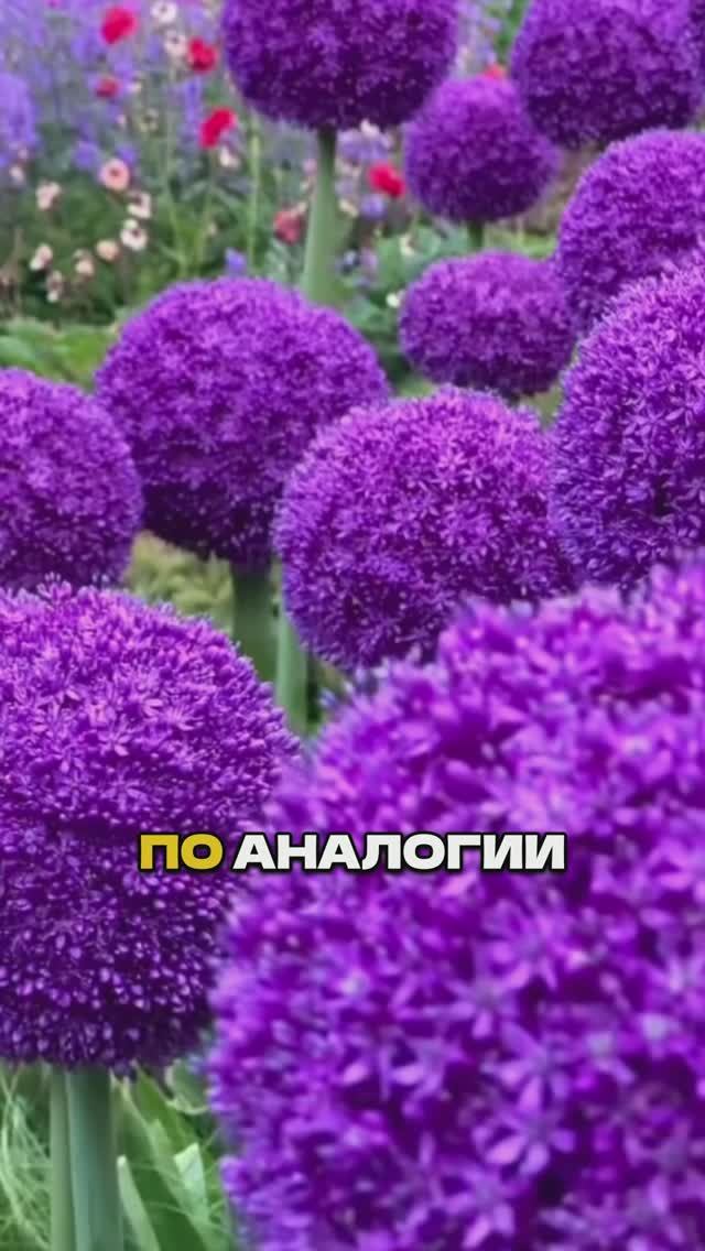 Этот Секретный Прием Сделает Ваш Цветник Идеальным за 22 Секунды 🌸🤫 смотреть онлайн