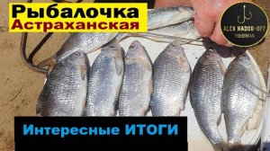 🔥Гигантская ВОБЛА⭐Итоги "легальной" рыбалки на Волге в Апреле!! Астрахань: диалоги о рыбалке...