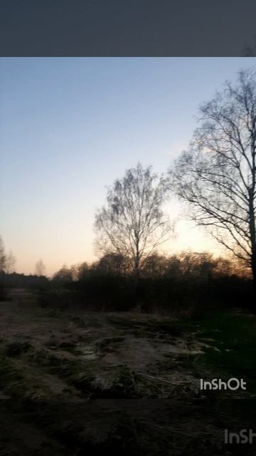 Весна _ это время пробуждения природы💚.mp4 смотреть онлайн