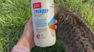 Как избавится от сорняков и поросли на участке. Мой опыт использования гербицида