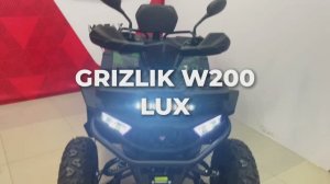Подростковый бензиновый квадроцикл MOTAX GRIZLIK W200 LUX зеленый камуфляж