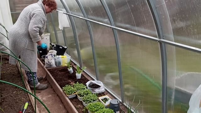 Один день дачной жизни Хроника за 10 мая 24г