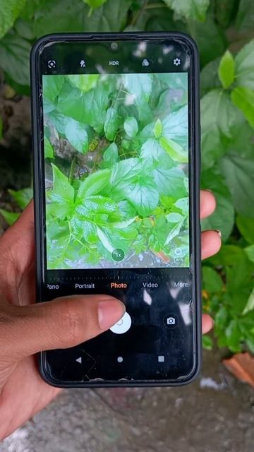 vivo Y12s camera #reels #video #subscribe #public смотреть онлайн