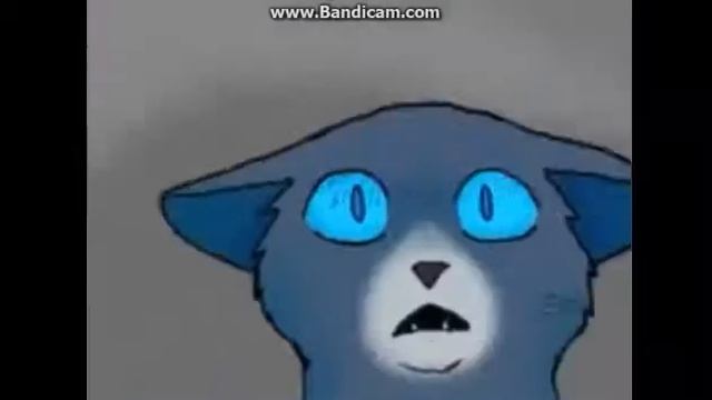 Коты-Воители жизнь котов смотреть онлайн