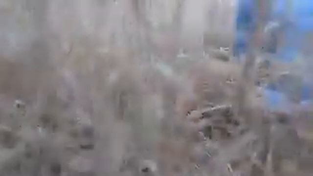Минует во ржи смотреть онлайн