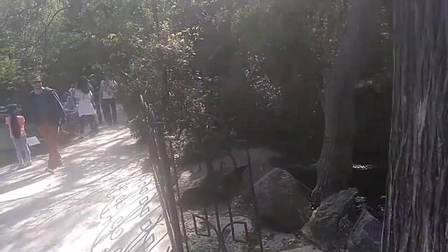 ПАРК ВОРОНЦОВСКОГО ДВОРЦА с Ириной Кизим. смотреть онлайн
