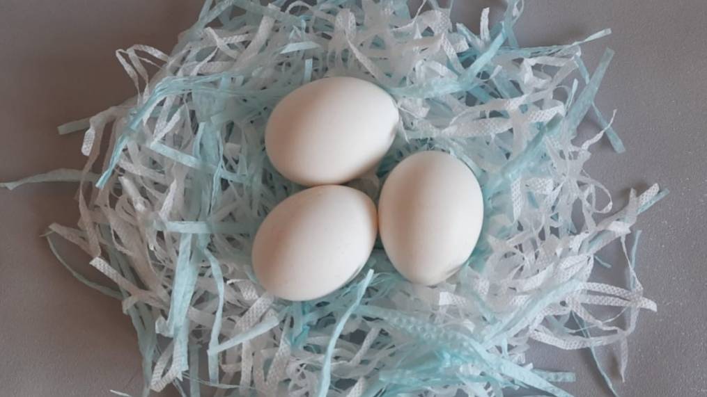 Так яйца на Пасху вы еще не красили смотреть онлайн