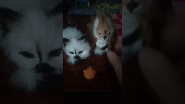 //Баффи милашка//{новый мини сквиш Баффи }⊂(･ω･*⊂) смотреть онлайн