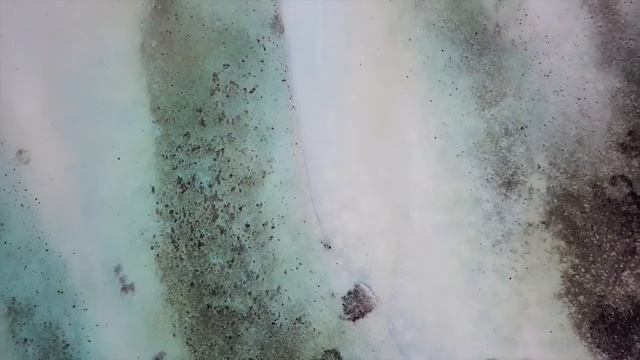 Seychelles Low Tide смотреть онлайн