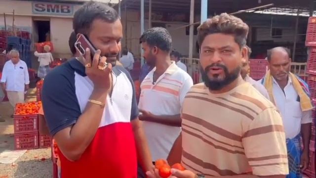 15/05/24 Madanapalle Tomato Market Price Today || Today Tomato Market Rate In Madanapalle #today смотреть онлайн