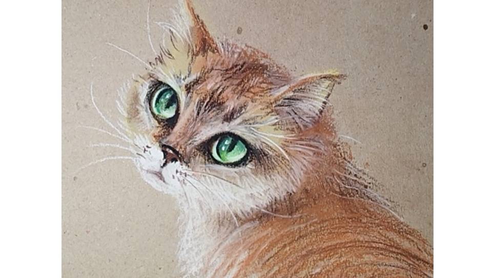 Рыжая кошка с зелеными глазами. Рисуем кошку пастелью. смотреть онлайн