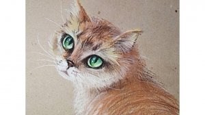 Рыжая кошка с зелеными глазами. Рисуем кошку пастелью.