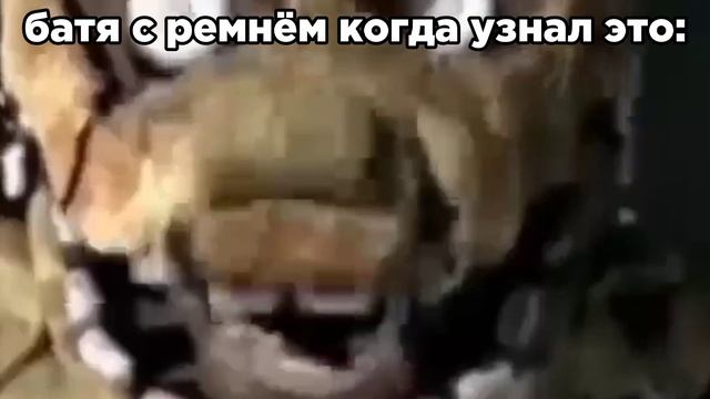 спрингтрап смеётся