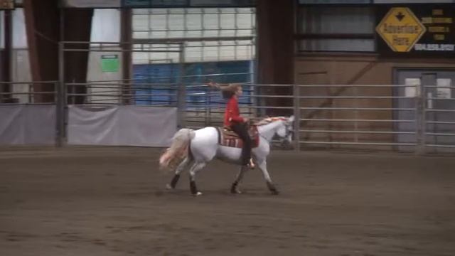 Reining Freestyle - Things We Lost In The Fire