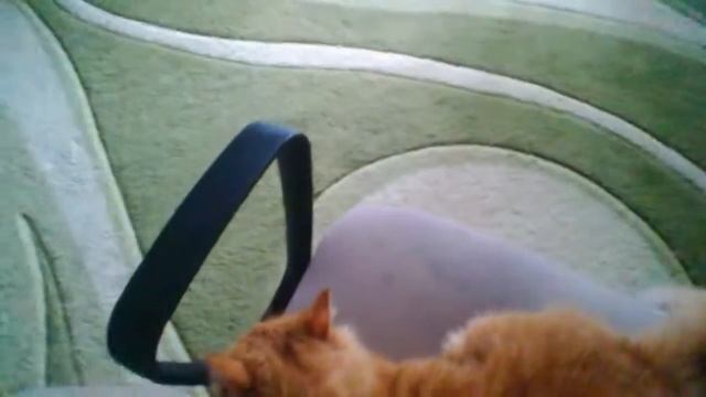 Снимаю Лили 3