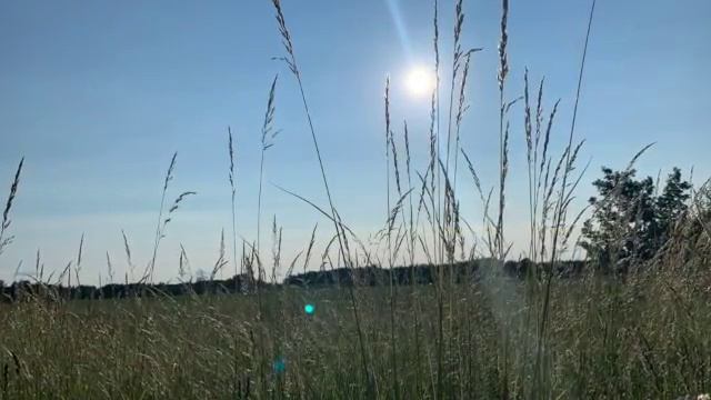 Perfect Day - Roxette [a Capella Cover]