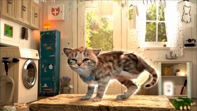 Sevimli Kedi Kostüm Partisi #Çizgifilm Tadında Yeni Oyun смотреть онлайн