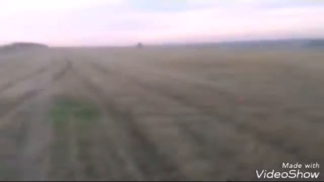 Чем я занимался летом смотреть онлайн
