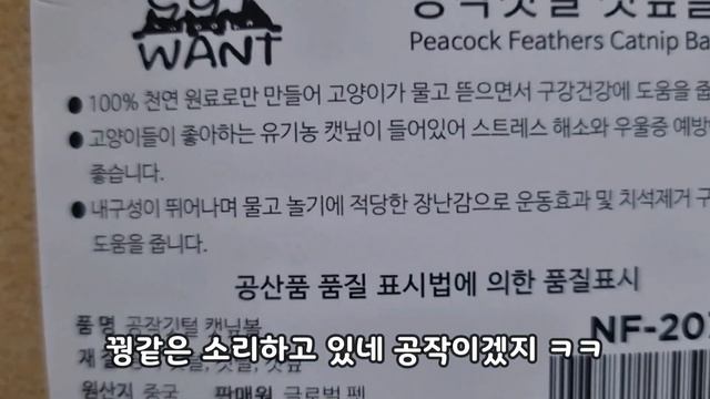 고양이들이 환장한다는 마따따비를 아시나요?!!!