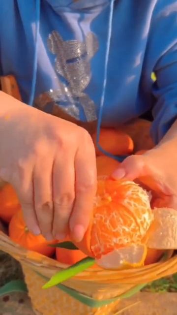 Amazing Farm Fresh Orange Fruit смотреть онлайн