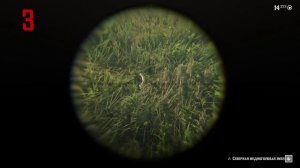 5 локаций северной медноголовой змеи | Red Dead Redemption 2