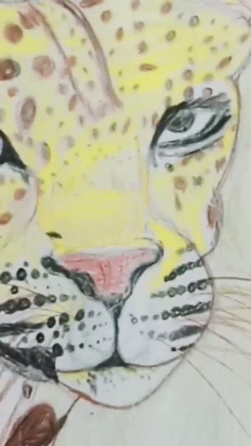 Drawing of Leopard смотреть онлайн