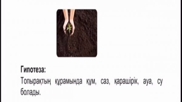 Топырақтың құрамы